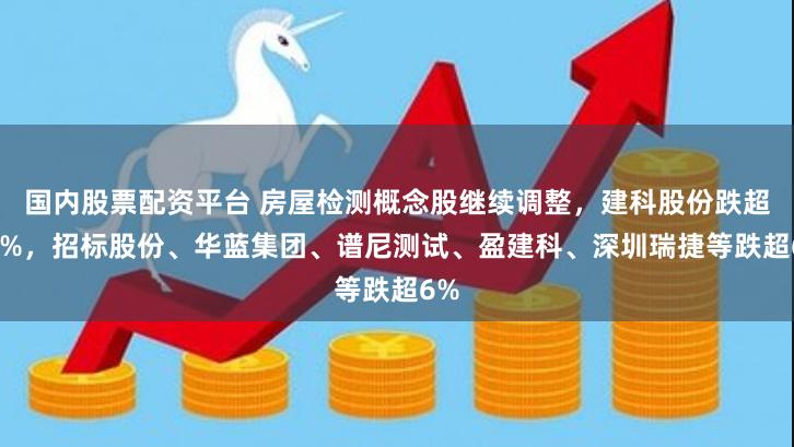 国内股票配资平台 房屋检测概念股继续调整，建科股份跌超12%，招标股份、华蓝集团、谱尼测试、盈建科、深圳瑞捷等跌超6%