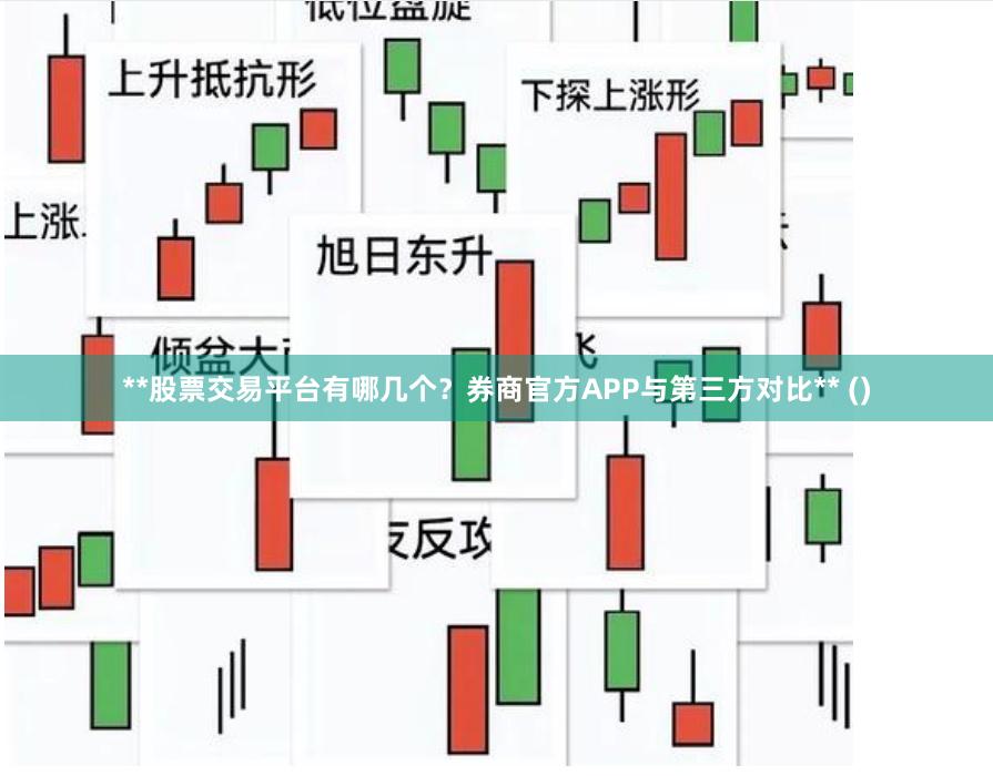 **股票交易平台有哪几个？券商官方APP与第三方对比** ()