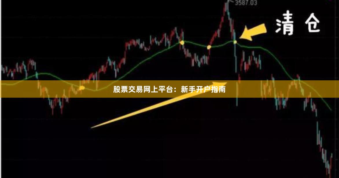 股票交易网上平台：新手开户指南