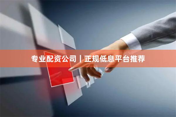专业配资公司｜正规低息平台推荐