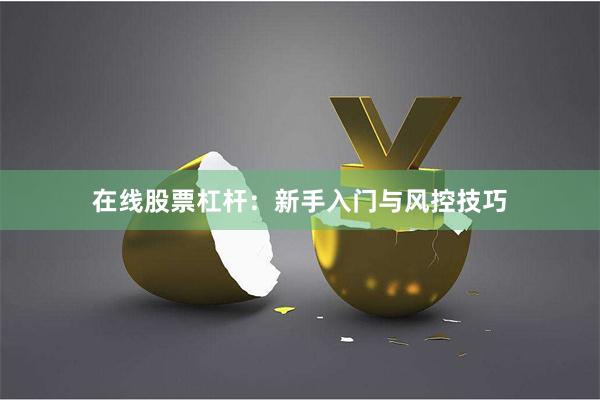 在线股票杠杆：新手入门与风控技巧
